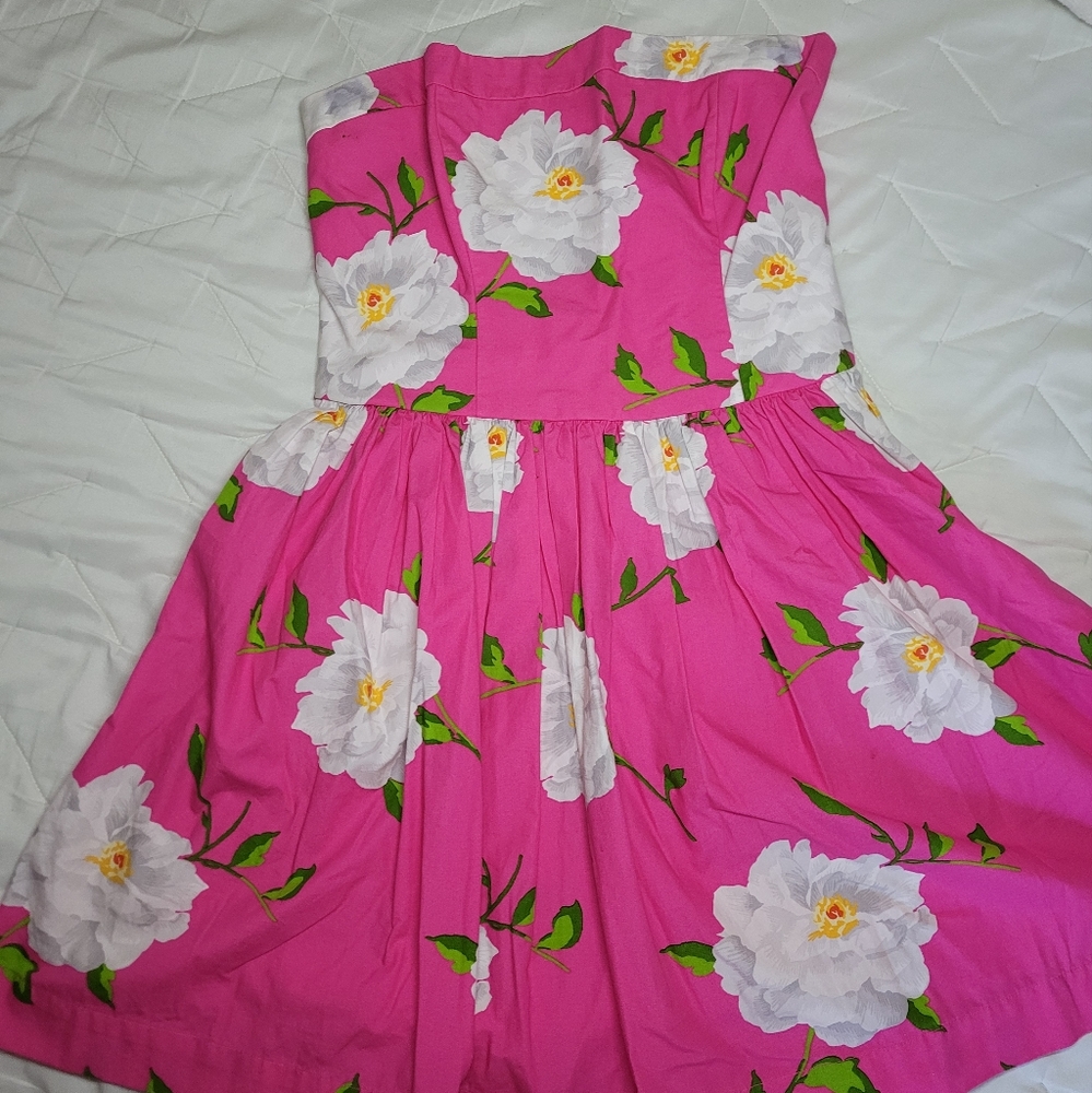 Nwt Adorable Tea dress